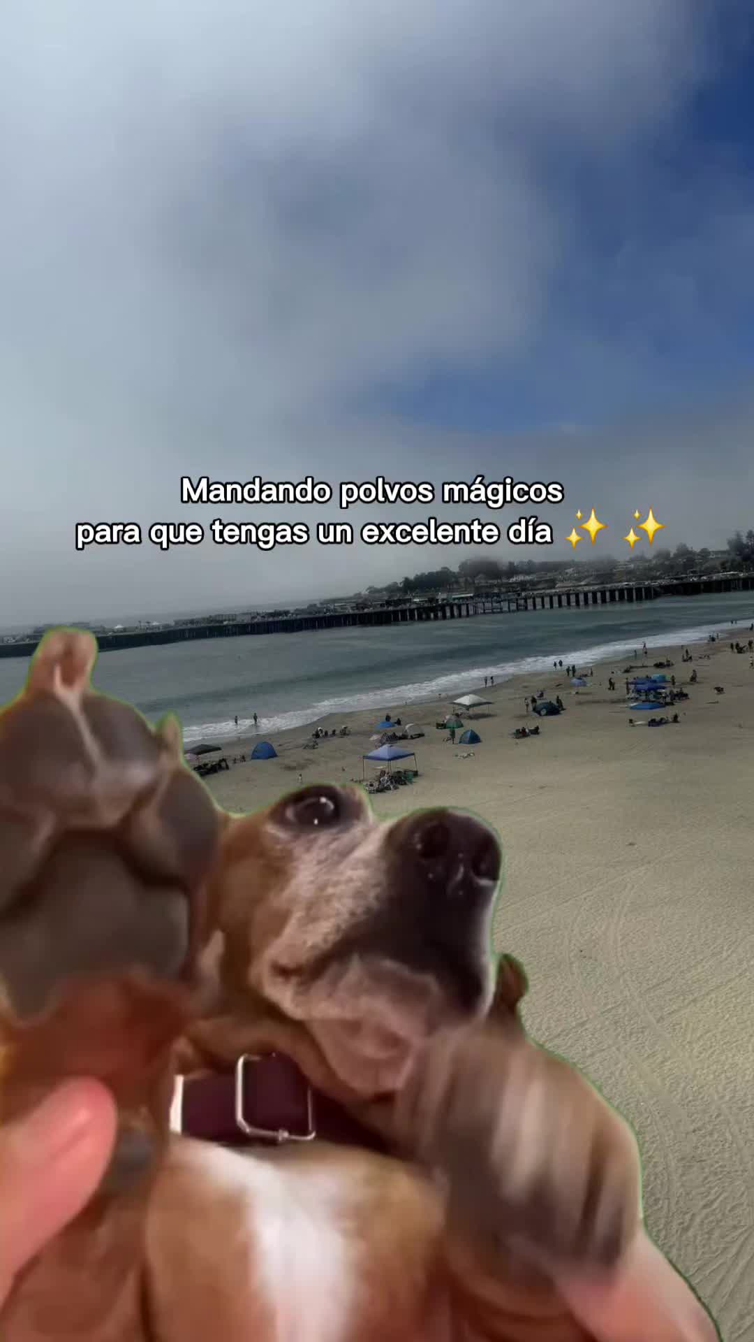 @Mayra Krystel