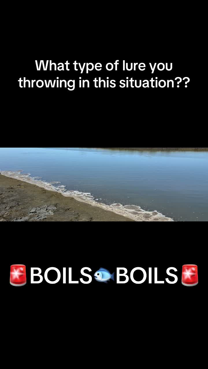 @Justfishnn510
