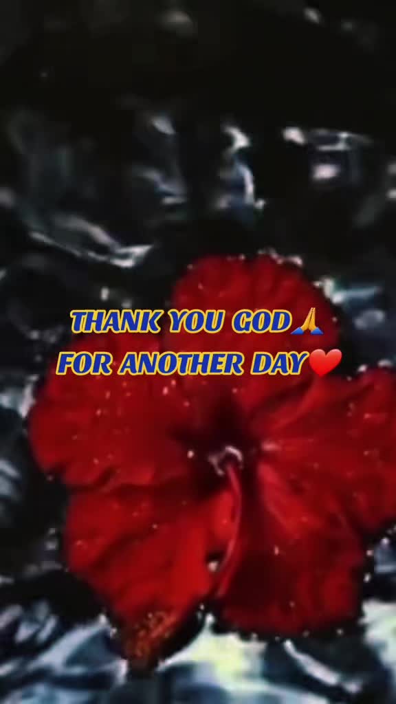 @🧚♀️Farisha Ali🧚♀️