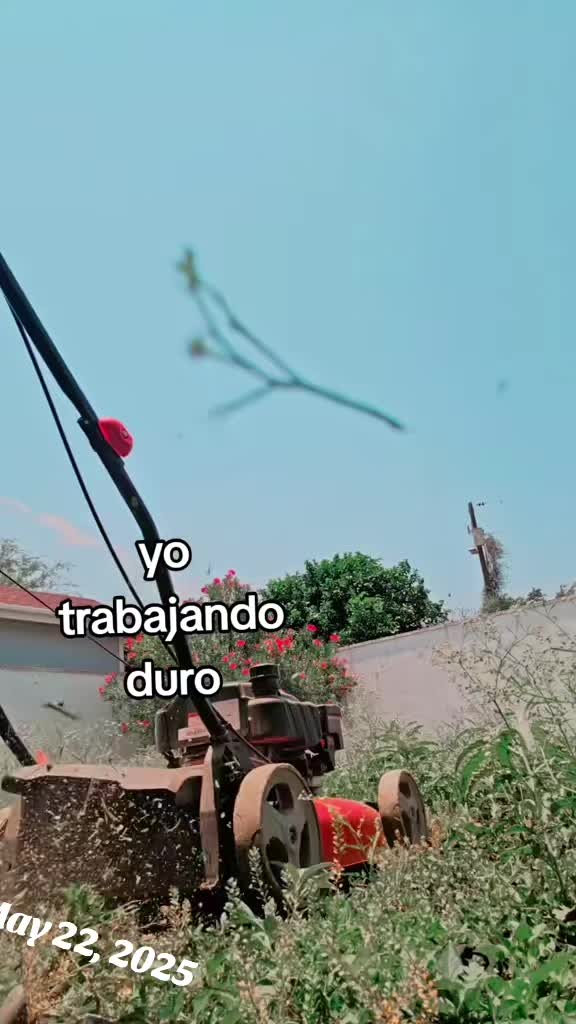 @Marcela Medellin