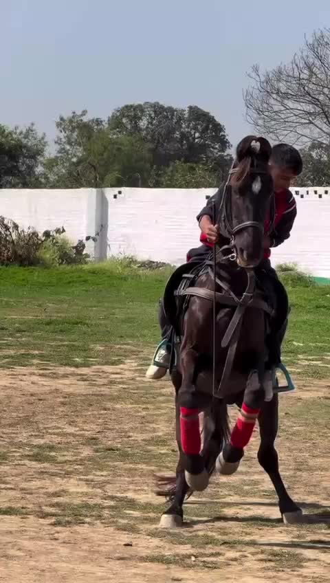 @vishal Patel 🐎 🐎 🐎