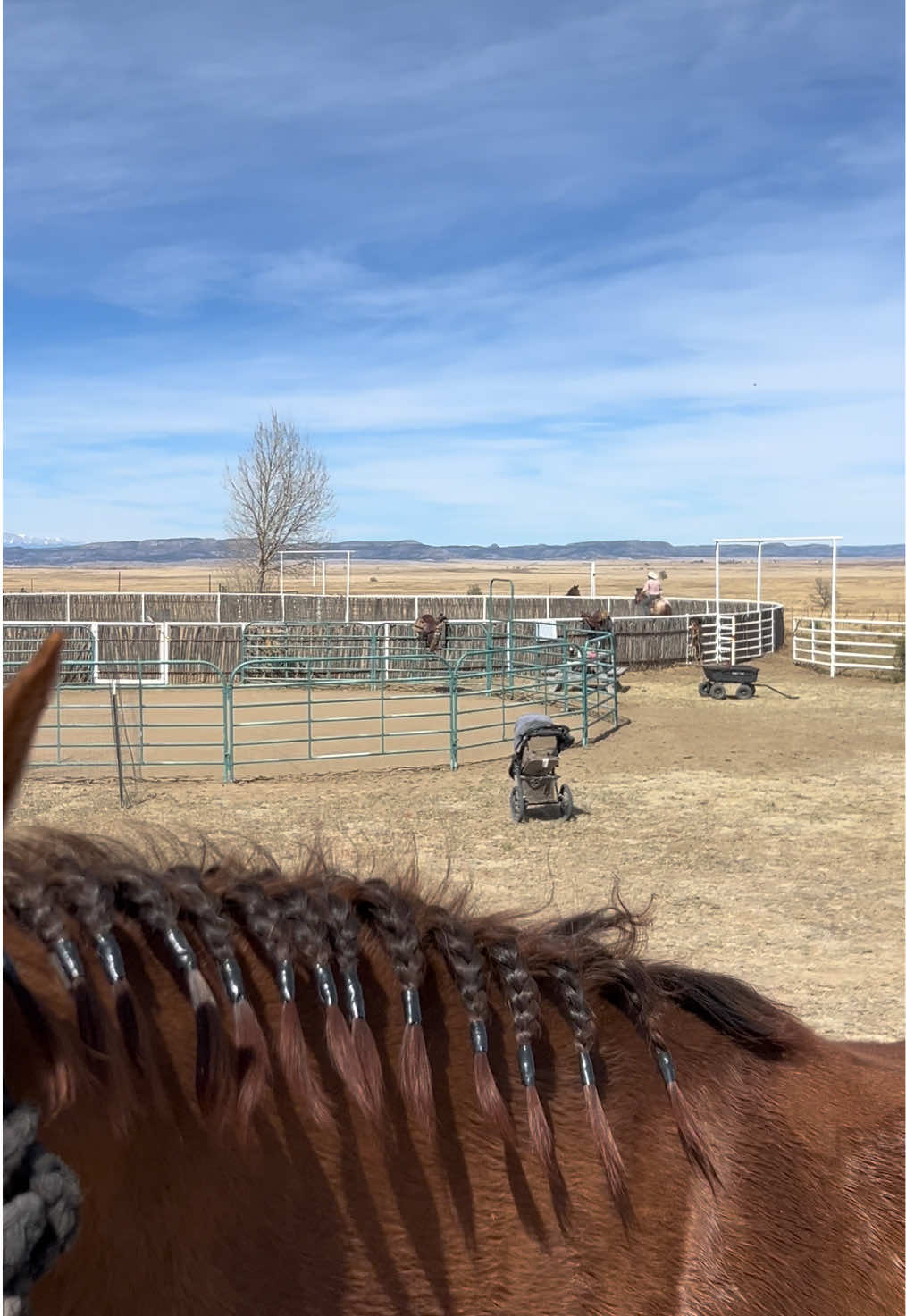@cowgirlcommentary