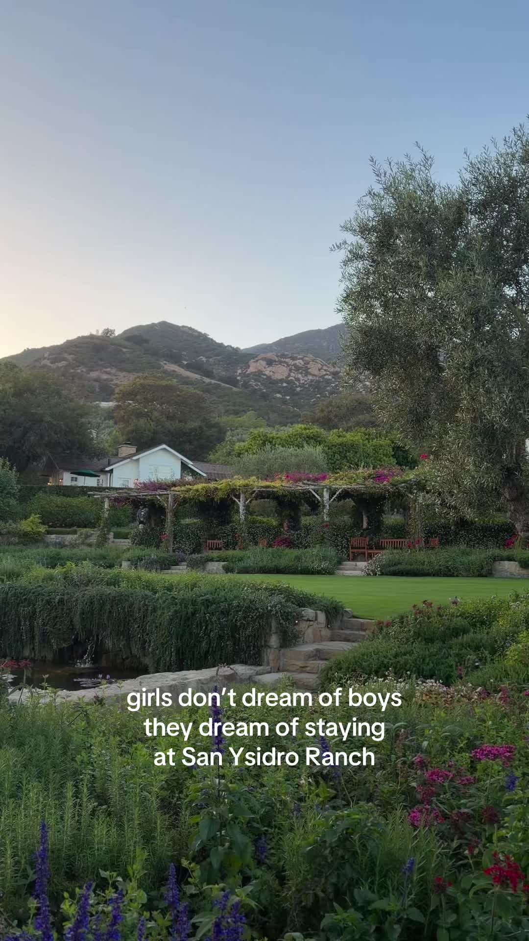 @sarah