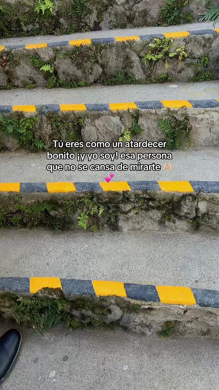 @Jose colop 🎀