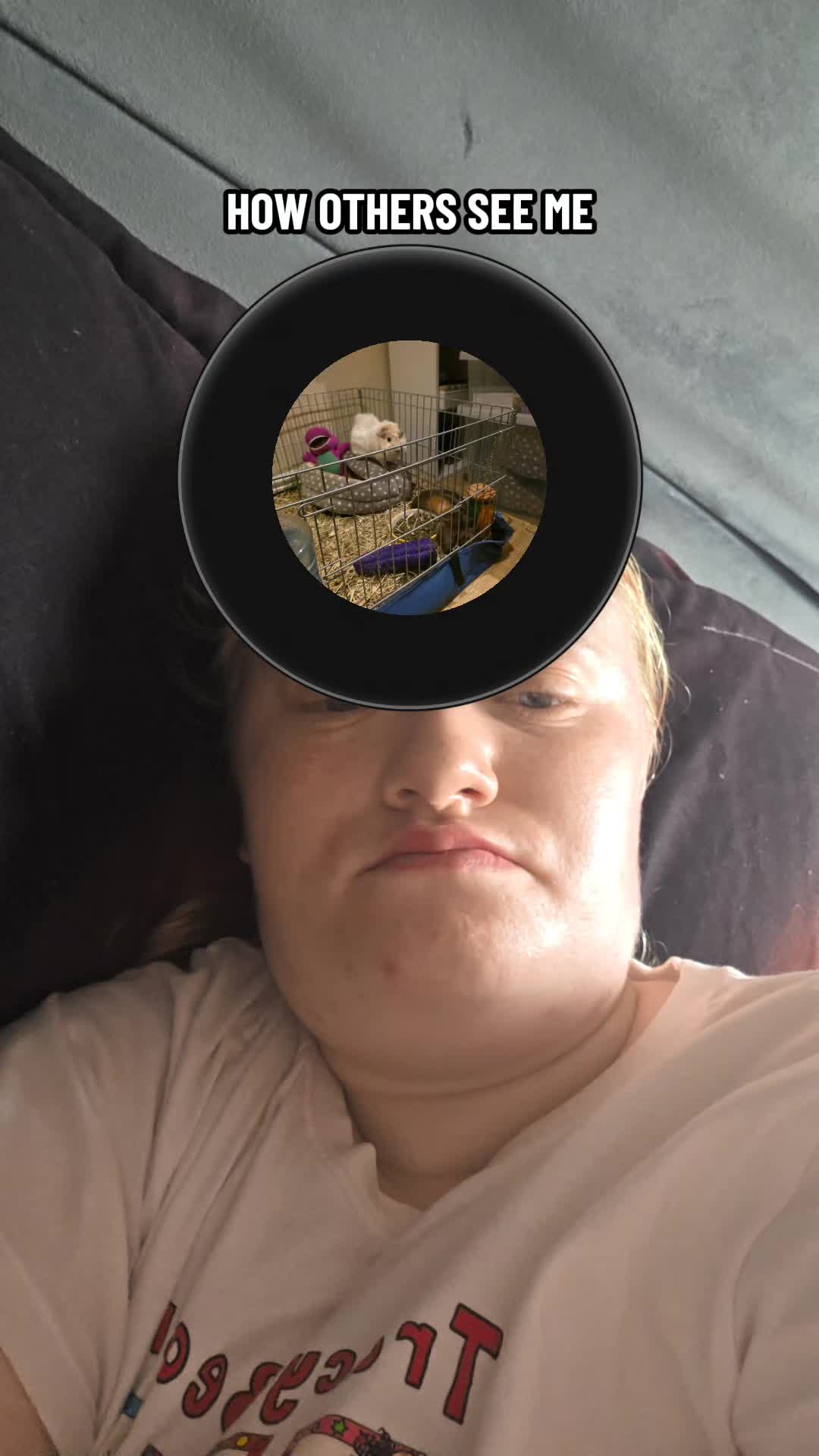 @shannon2001