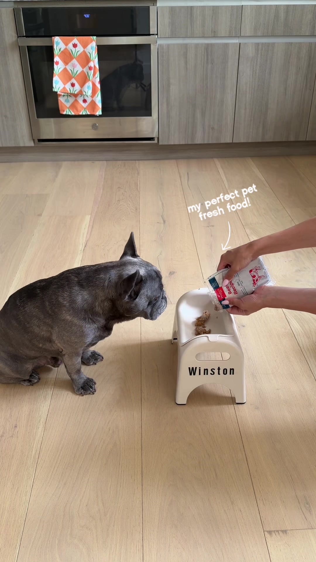@Winston & Charlie 🐾