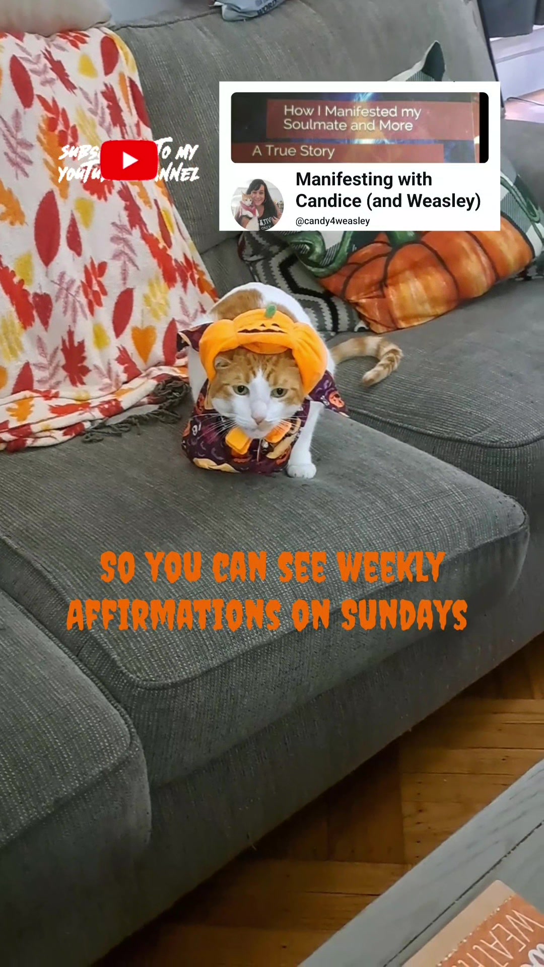 @Candice & Weasley