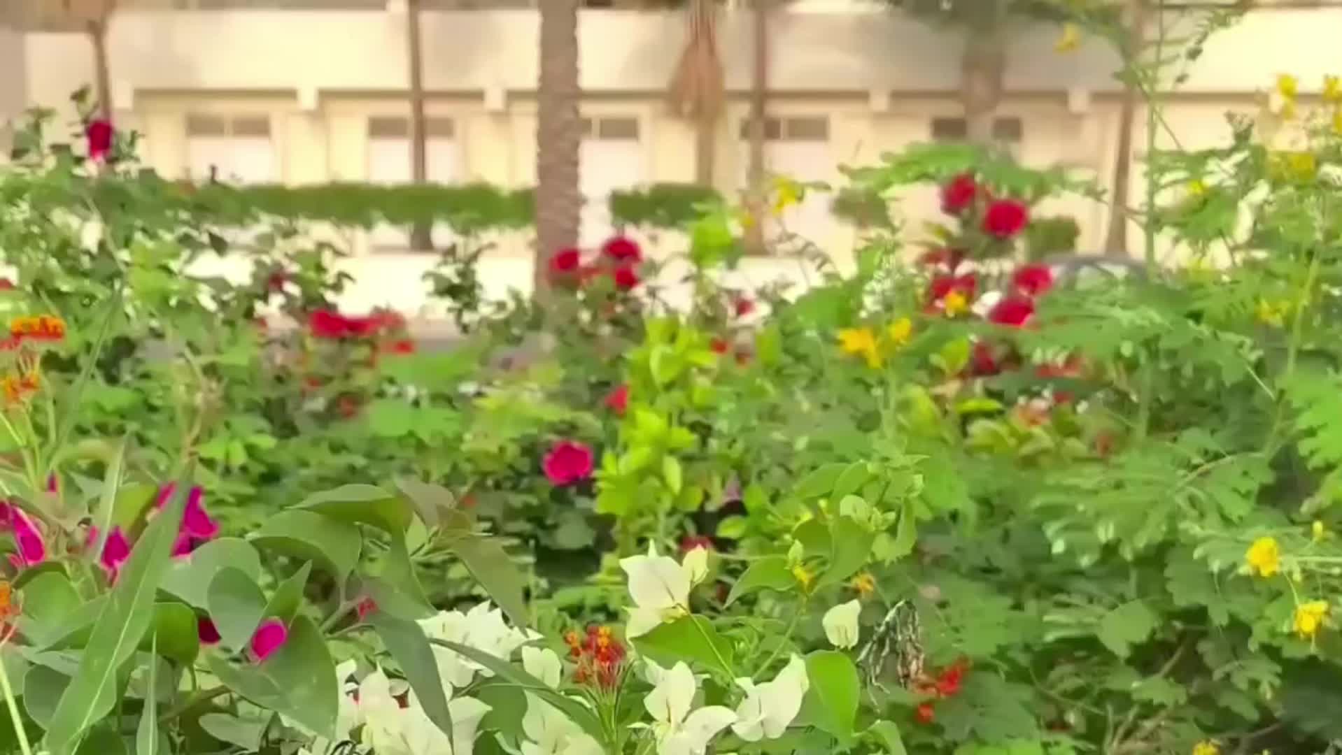 @rayvibe