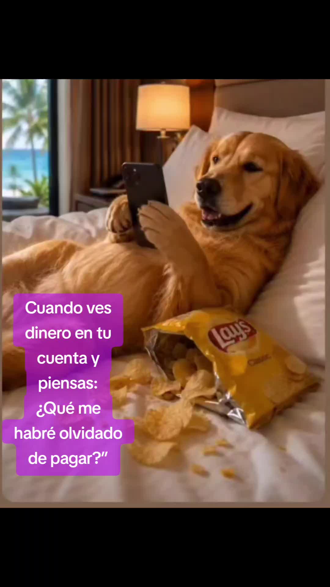 @el panda solitario