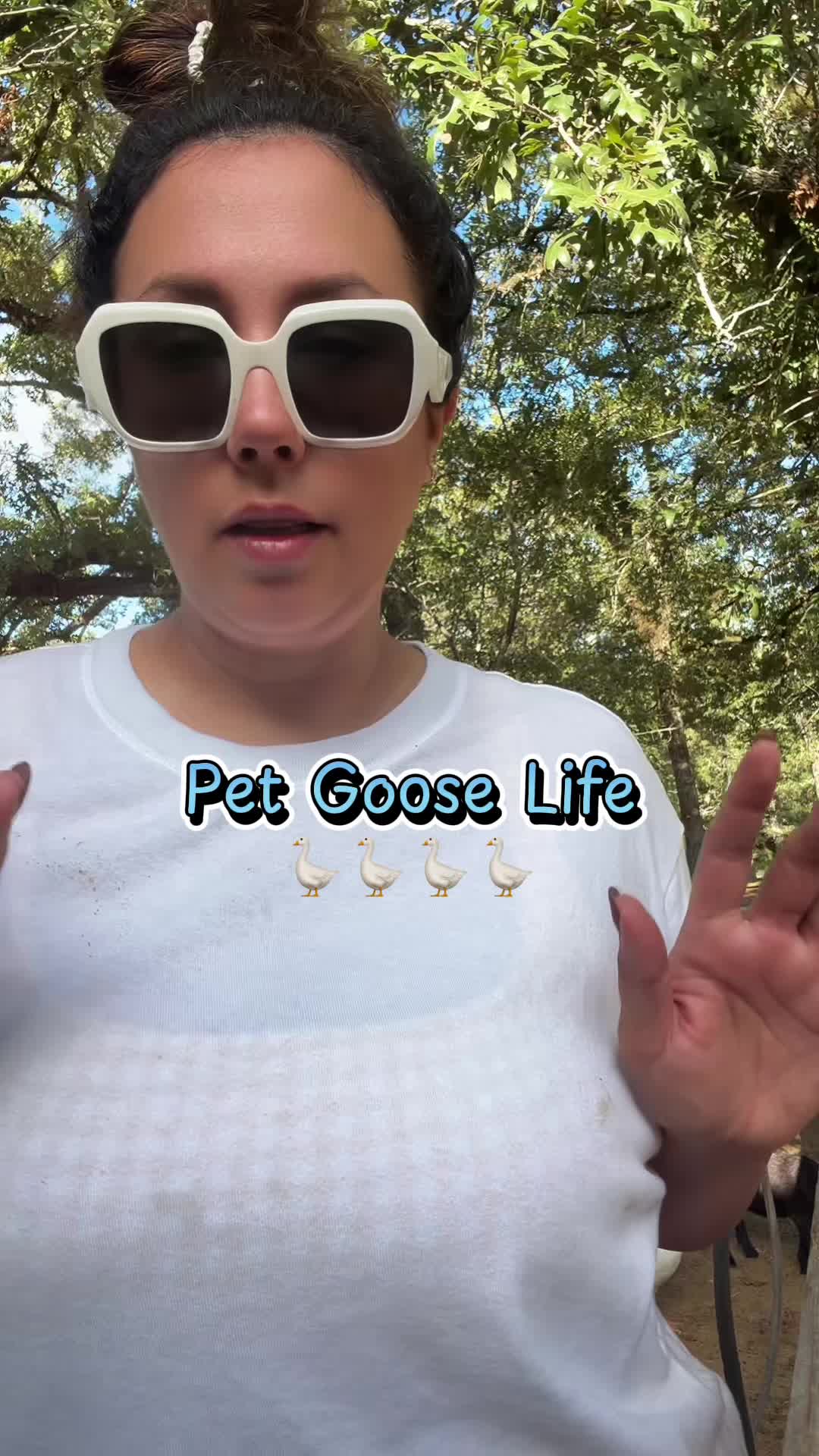 @Aundrea || Mom of 6