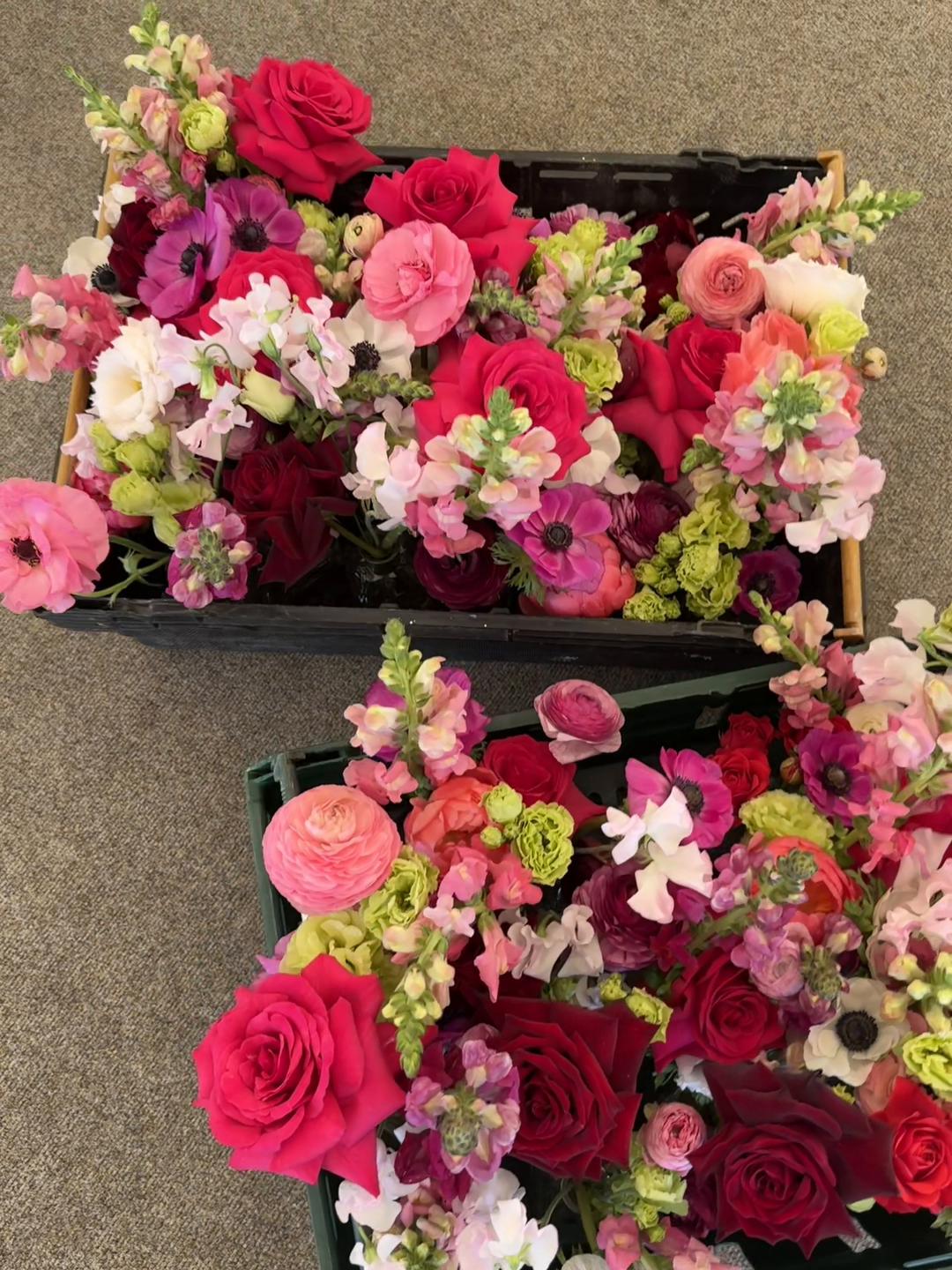 @Lily Cora Flowers 🌸