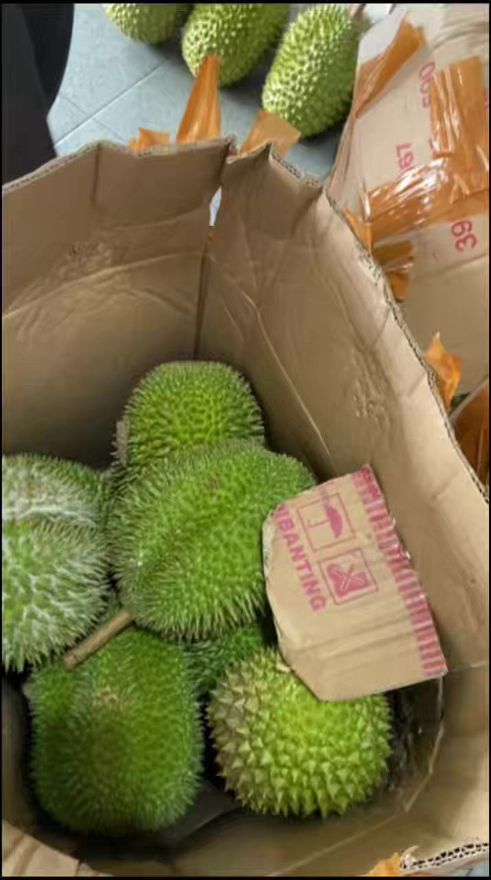 @Cicip Durian