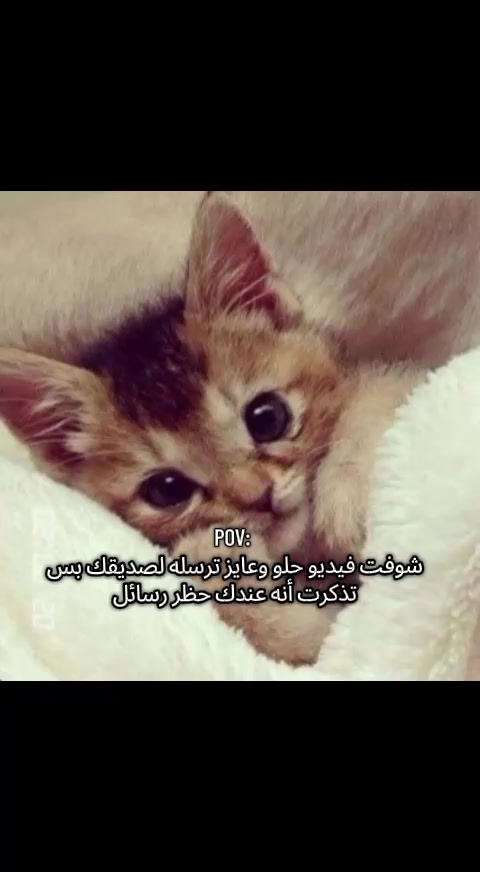 @نــيــــ𝑁𝐸𝑌𝑀𝐴𝑅 مــار🇸🇩