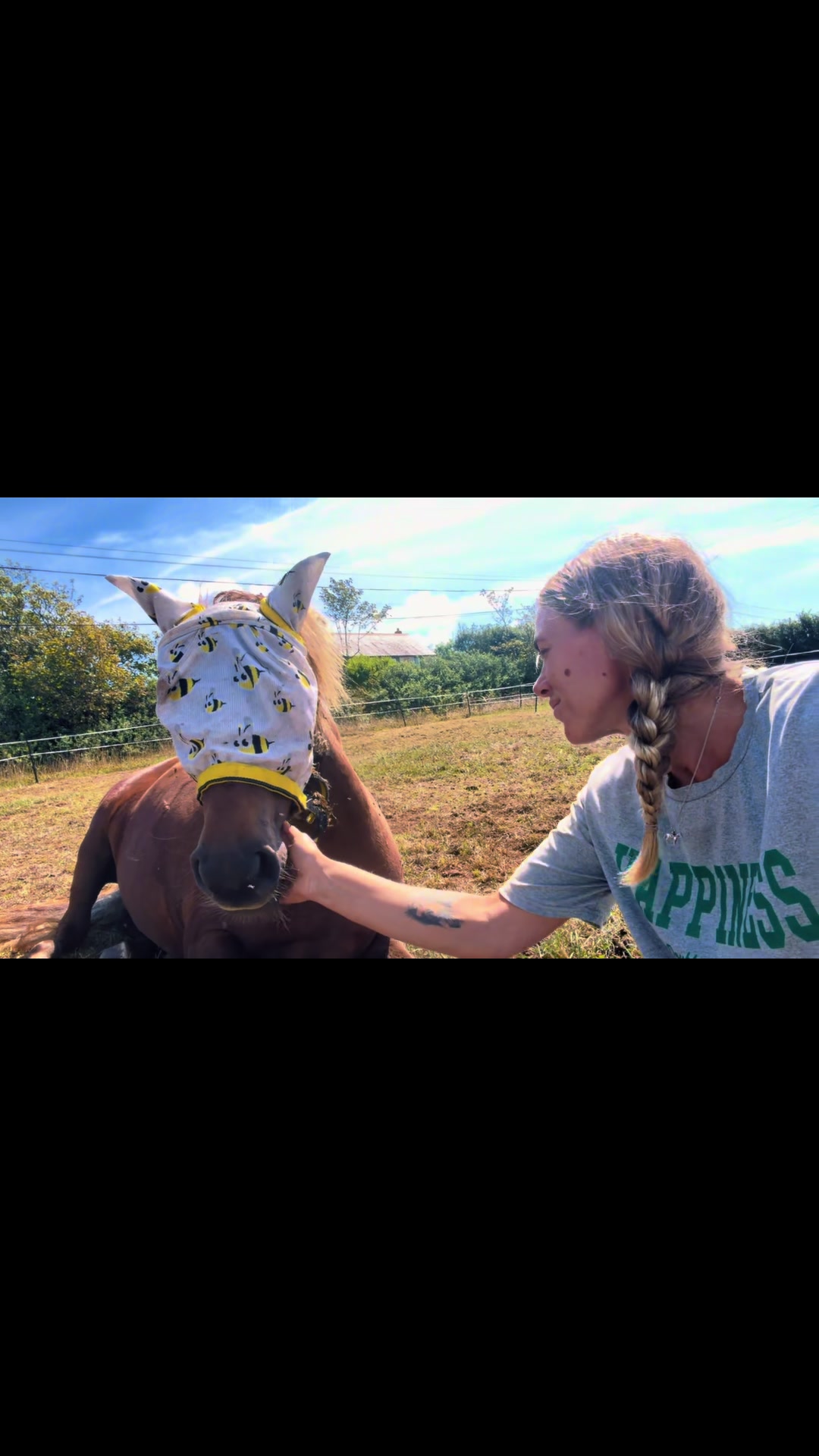 @horsetiktoc