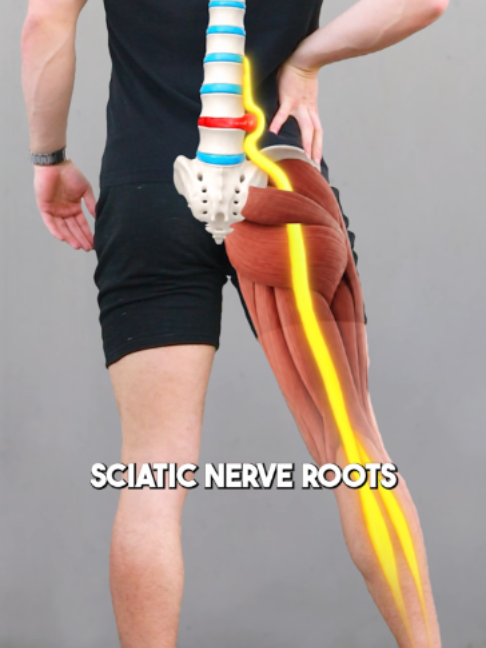 @Recover Pain