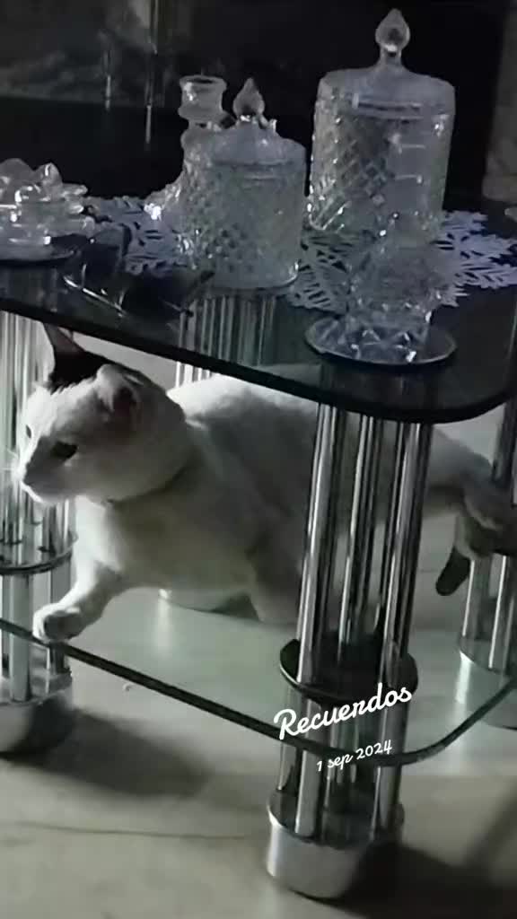 @๐ ๐ฌ๐ซ๐ฐ๐ป๐ฏ ๐ฝ๐ฐ๐ฎ๐ถ๐ป๐ฏ ๐