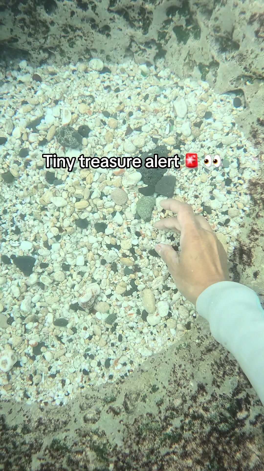 @Treasure Hawaii