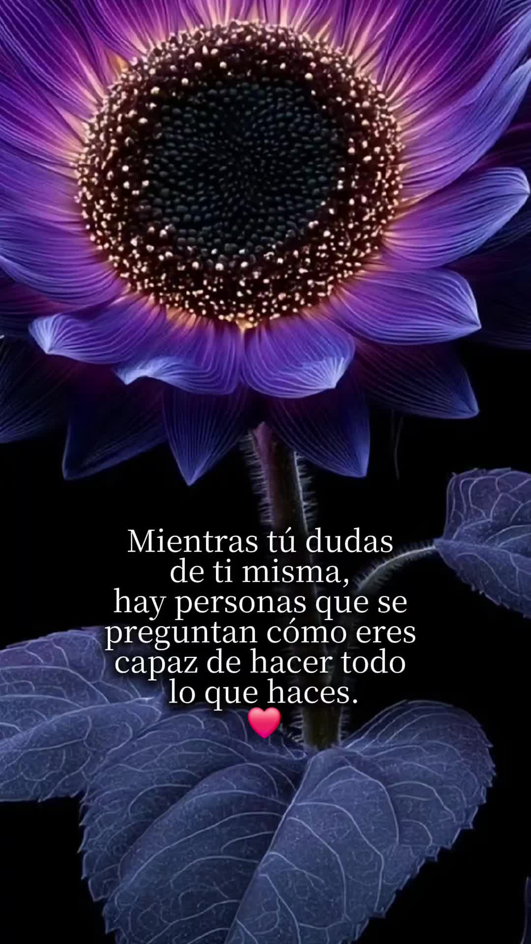 @Maribel 🌻