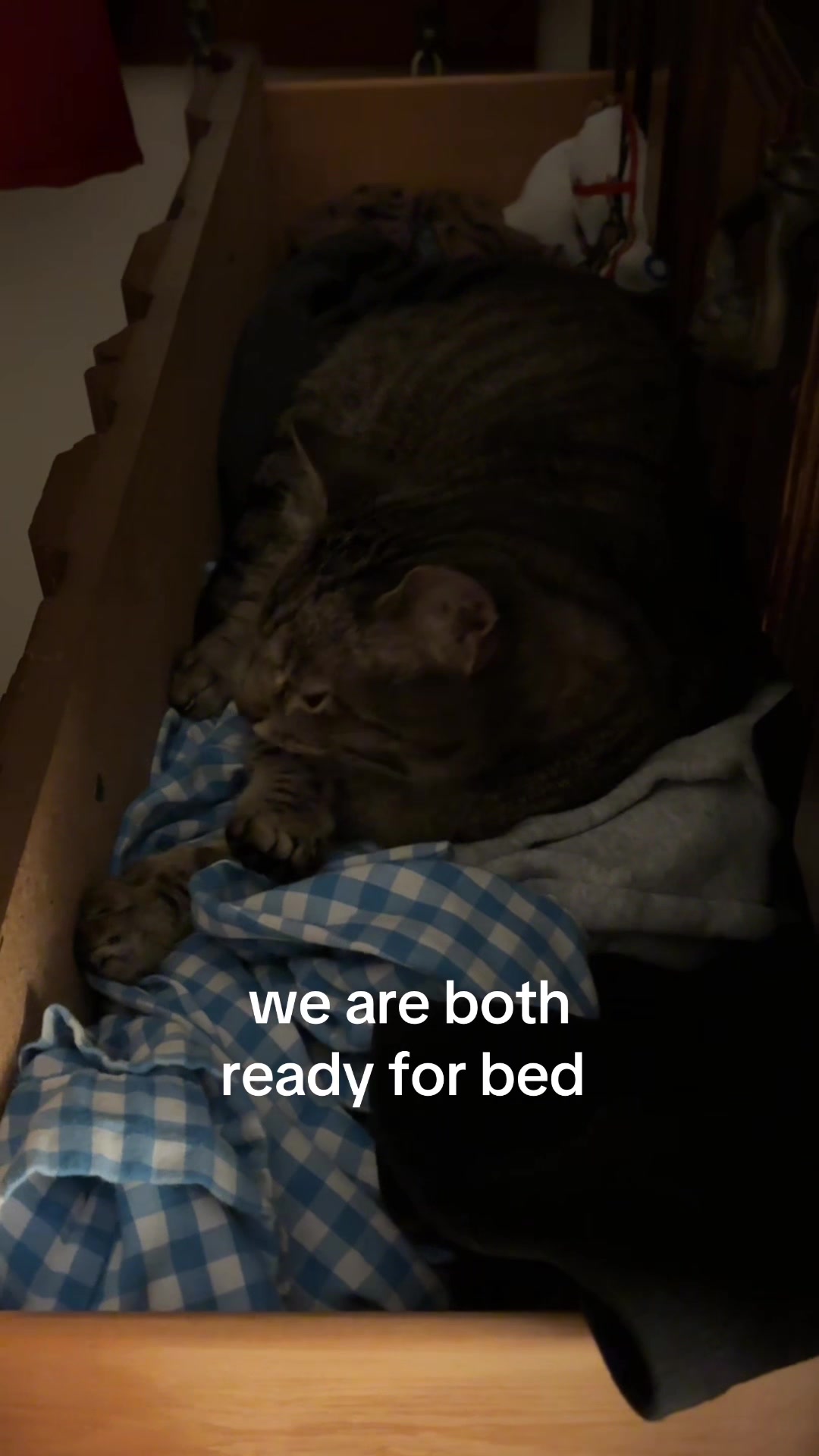 @mae