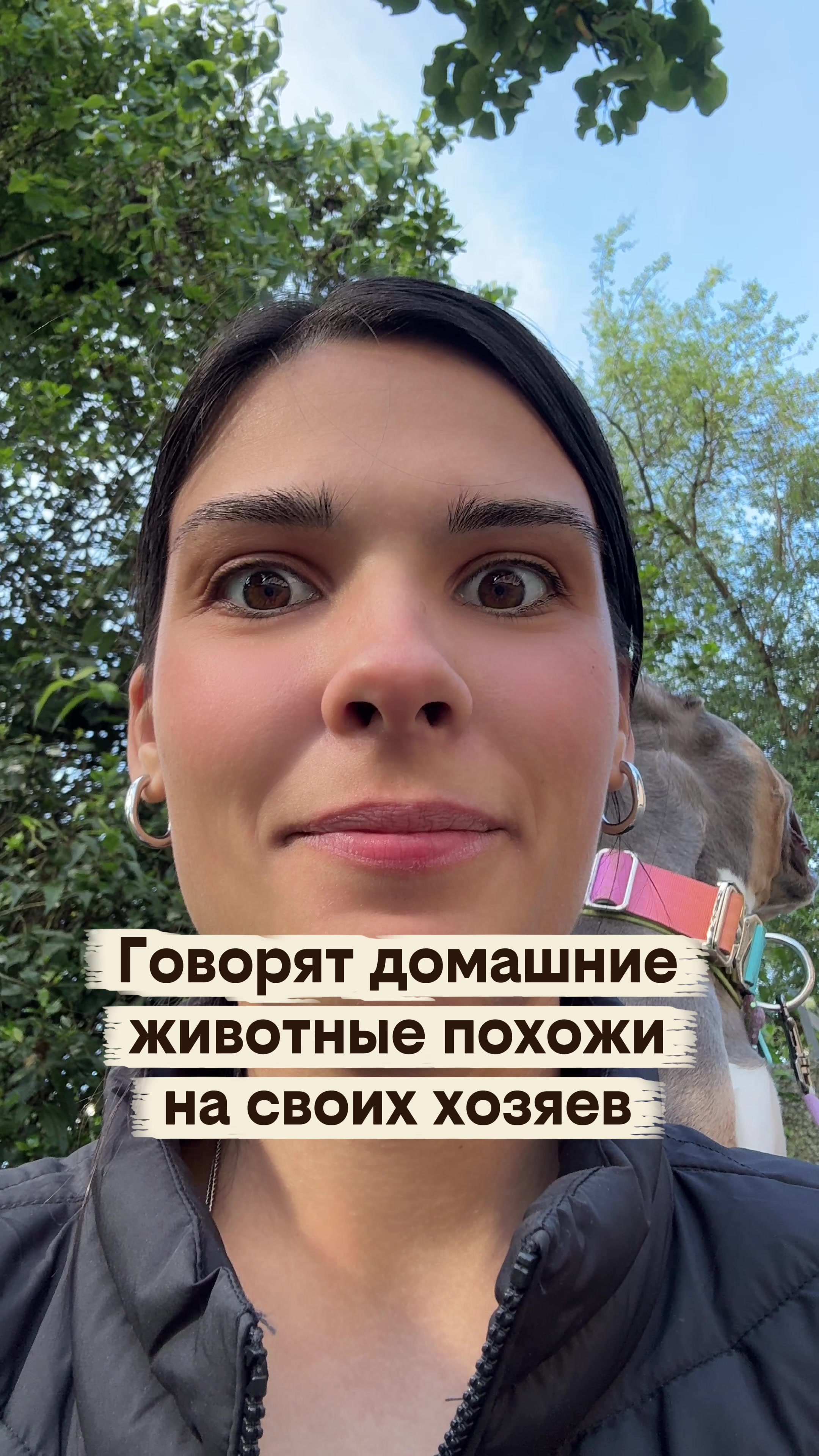 @Диана в Шерсти💜