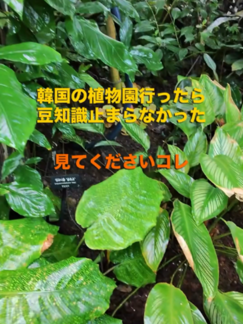 @KyotoTravelJP