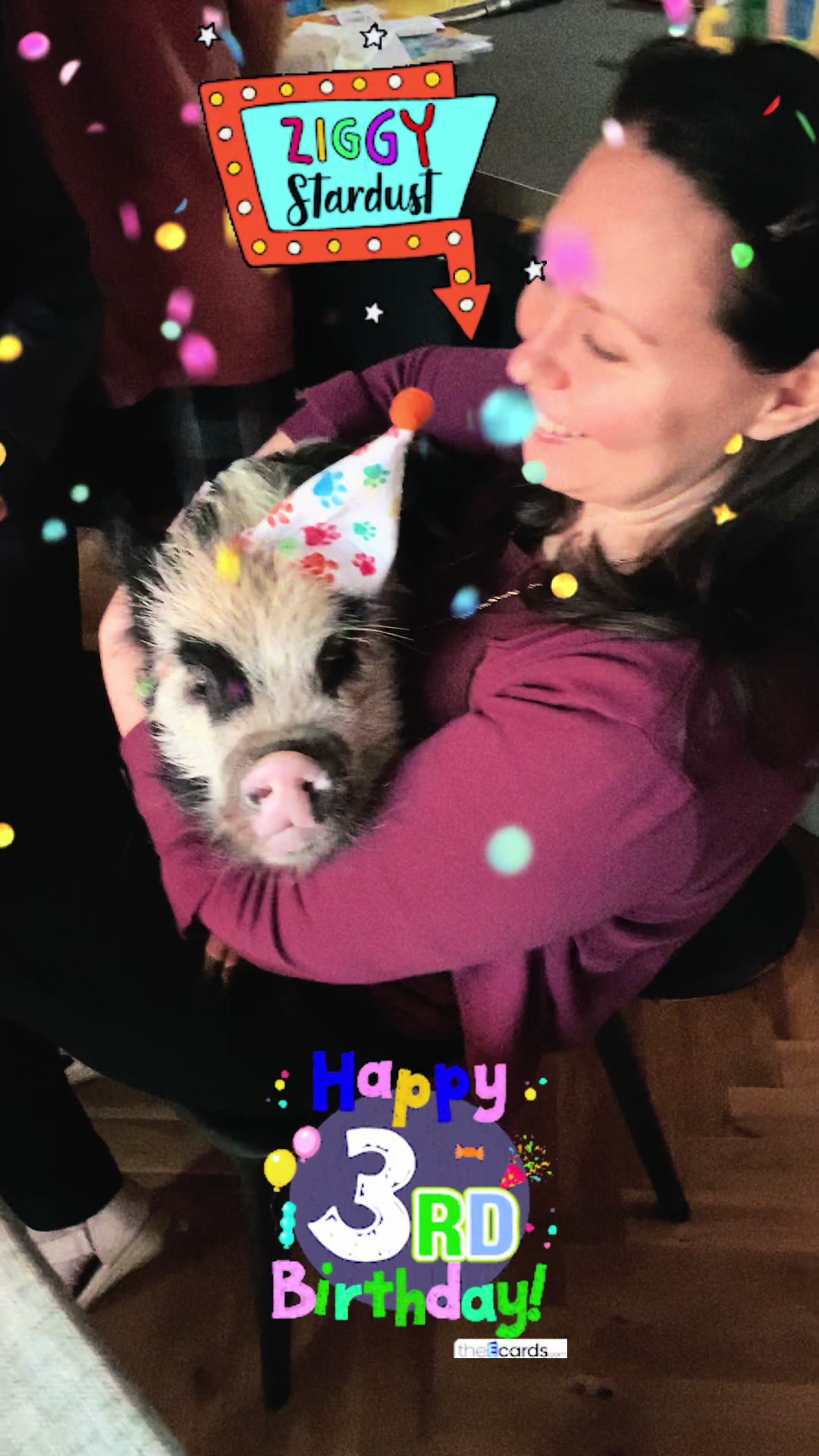 @Pig in the house