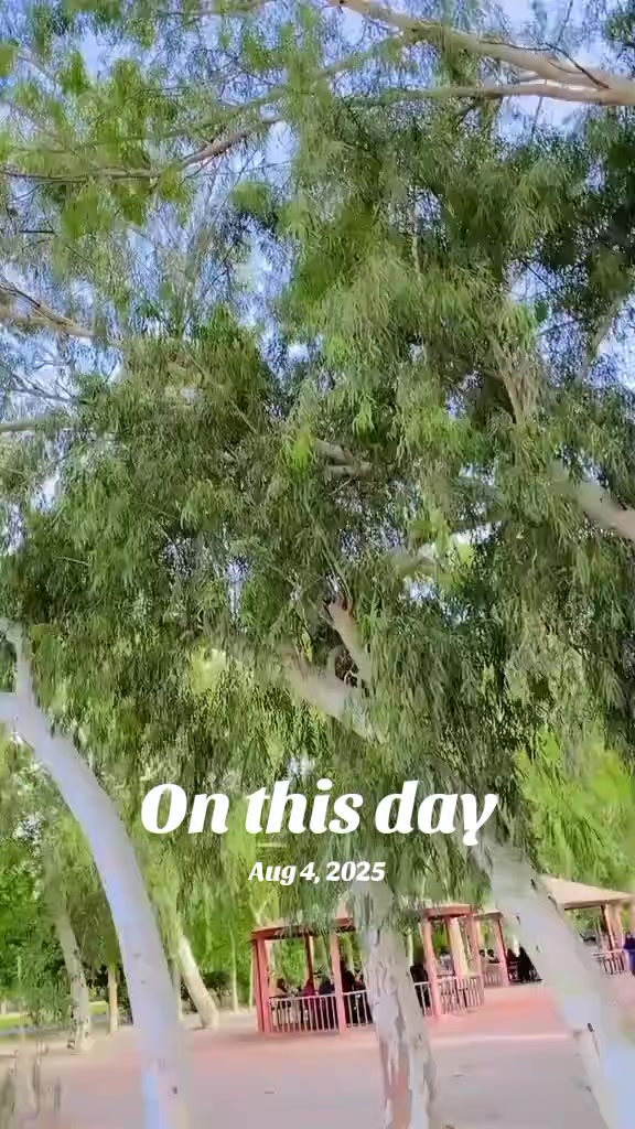@alisha_malik_g47 🔥🦋
