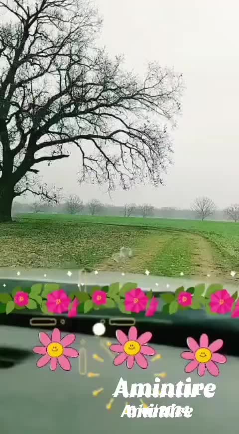 @stelutaturtoi
