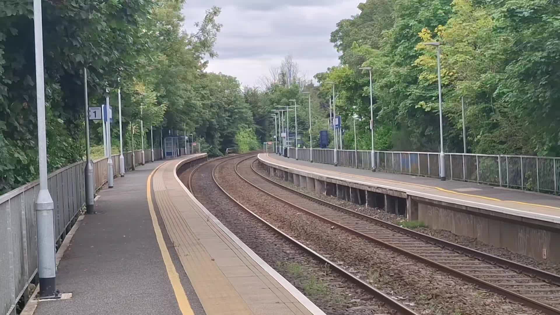 @level trains