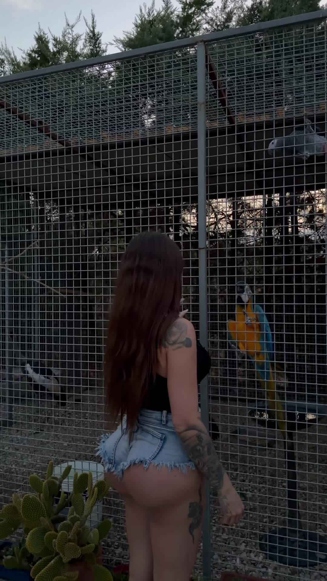 @gretadelmonte