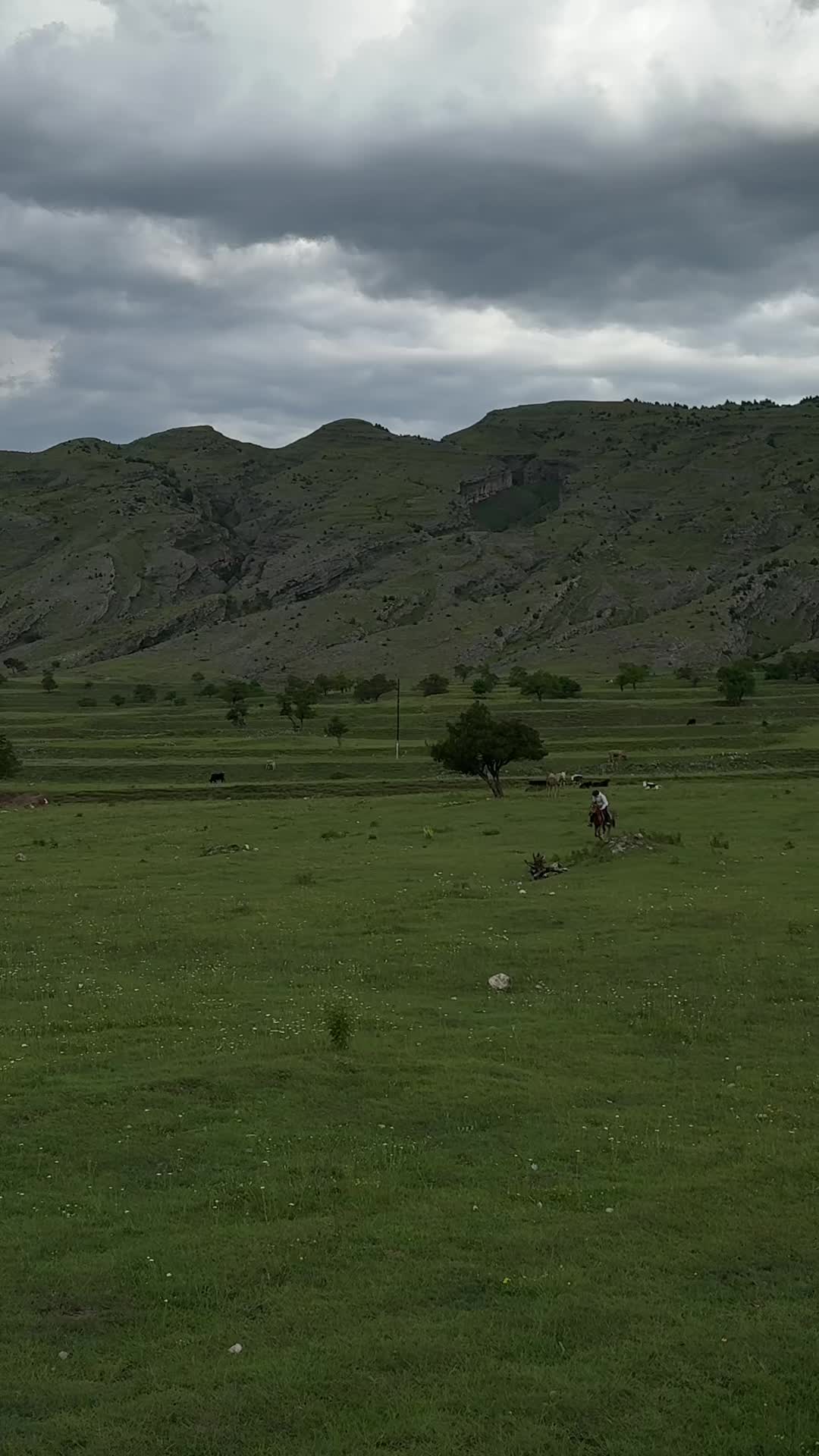 @horselek
