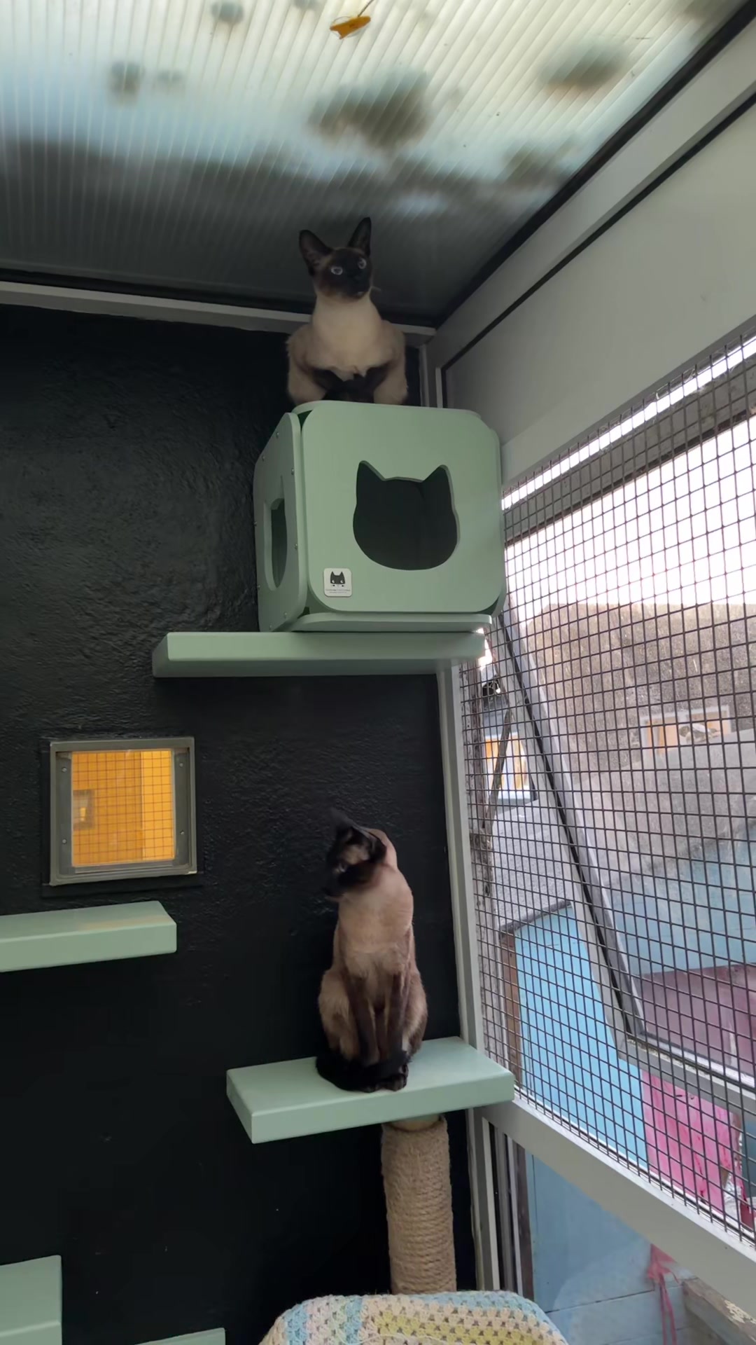 @Herongate Village Cattery