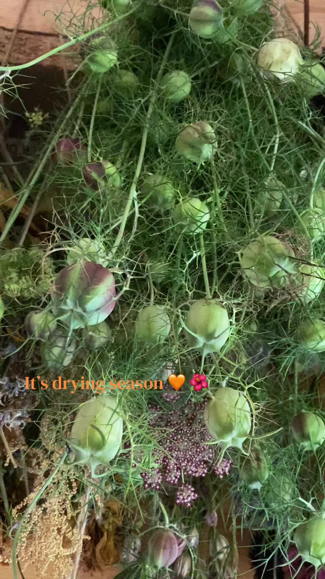 @BloomingFibres