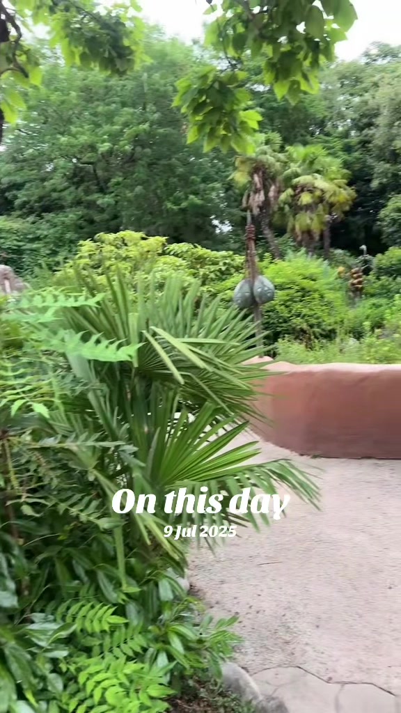 @K.