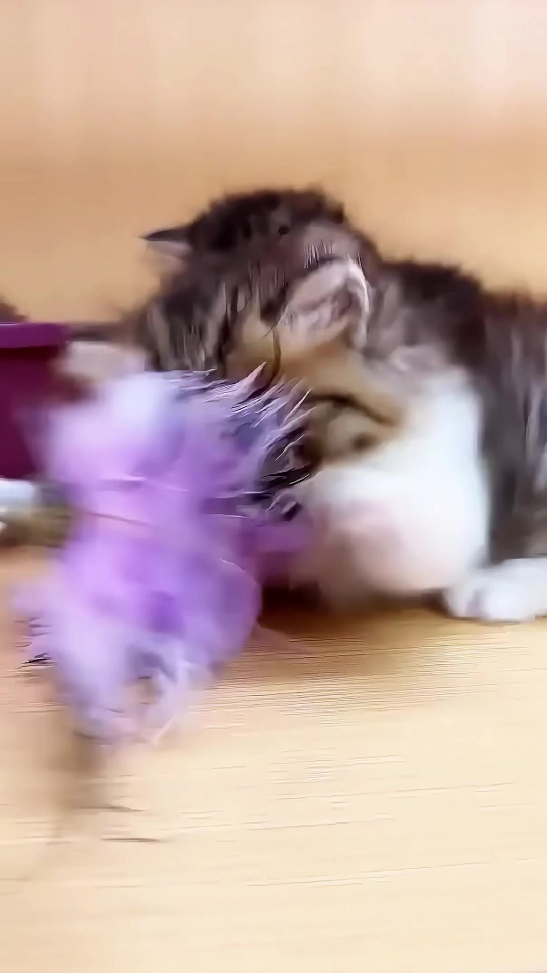 @mullidnuabe