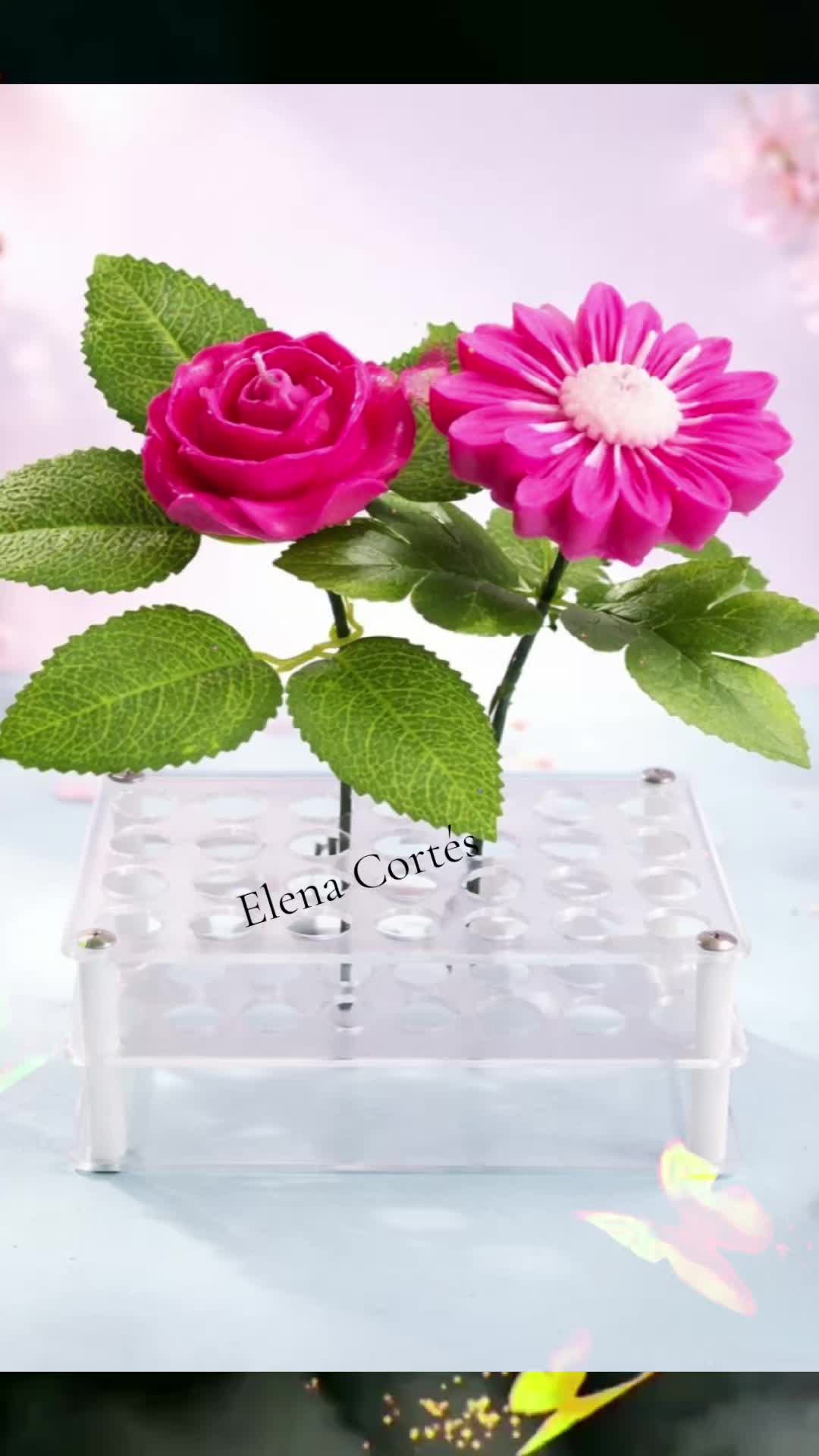 @Elena Cortes