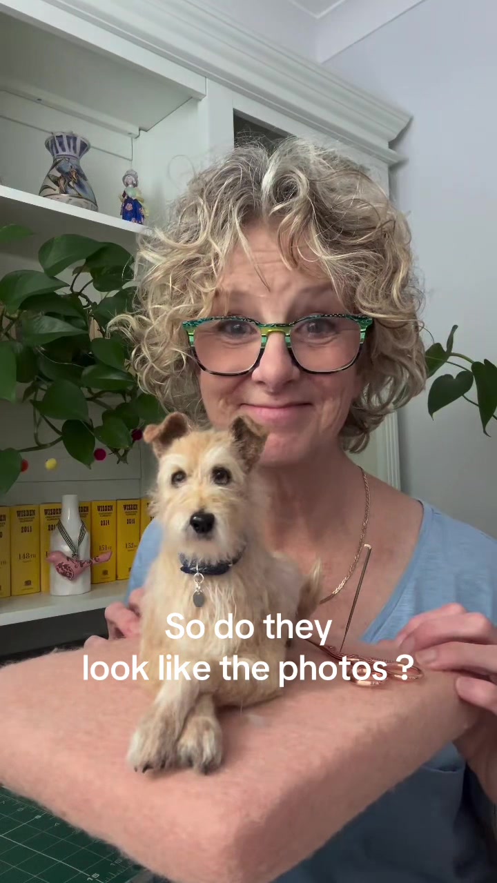 @FlyByFeltstiktok