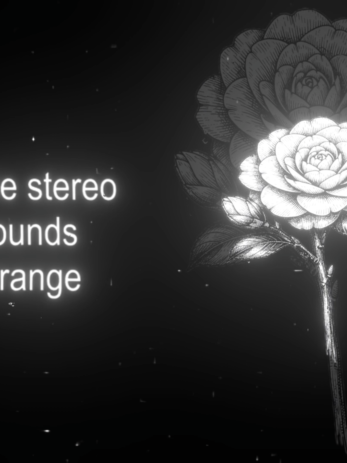 @𝖿𝗋𝖾𝗒𝖺