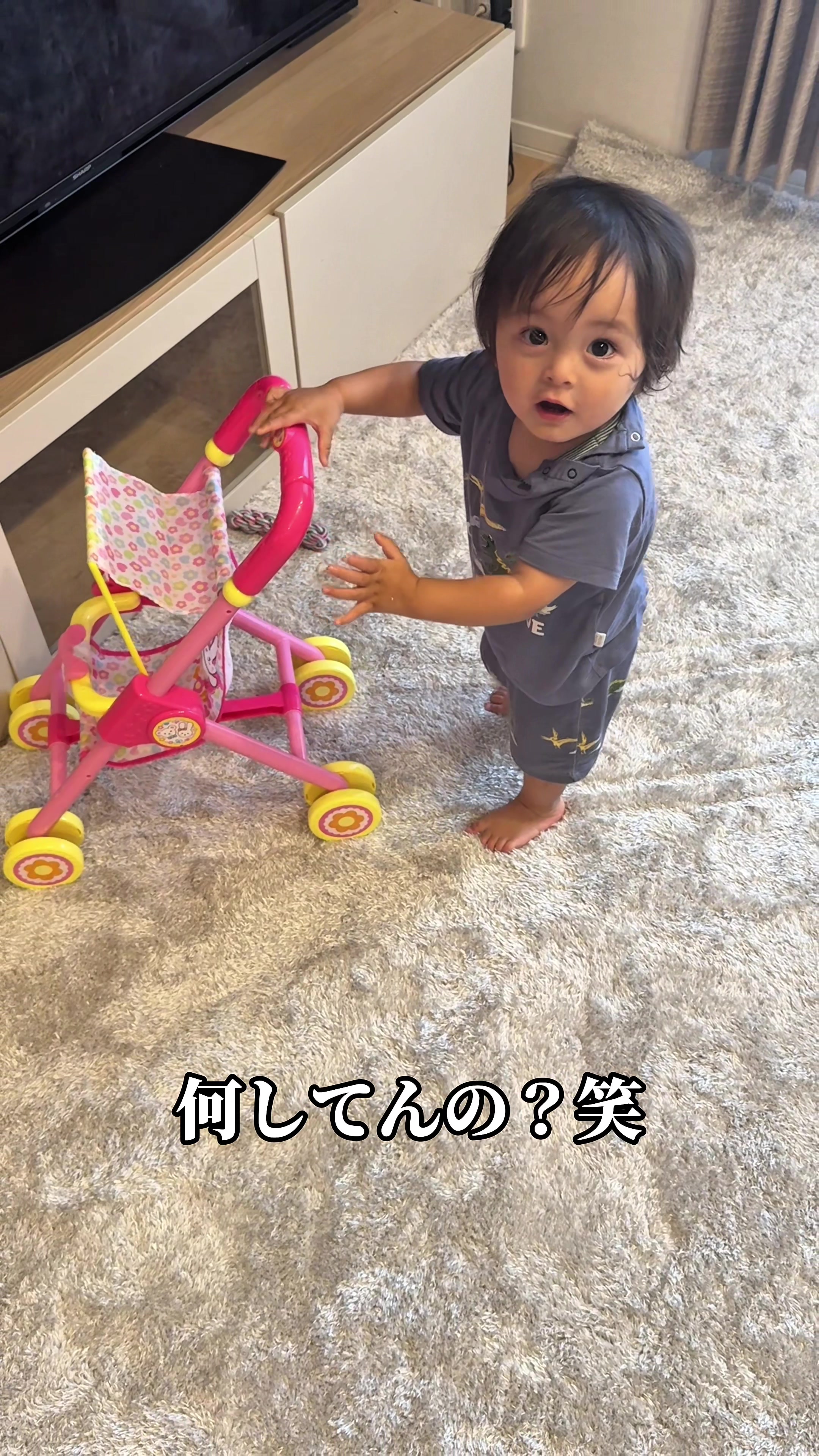 @SAMBA君【サンバ夫婦】