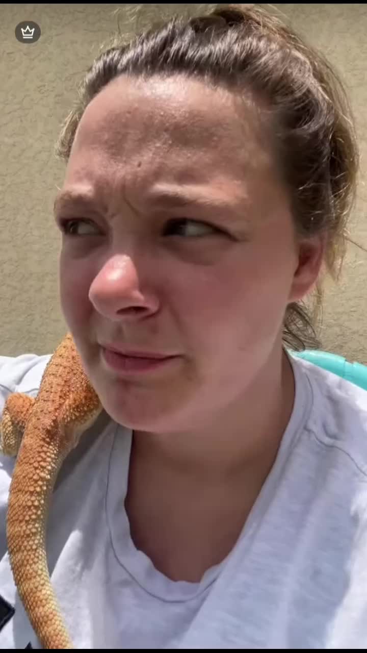 @stephdaubs