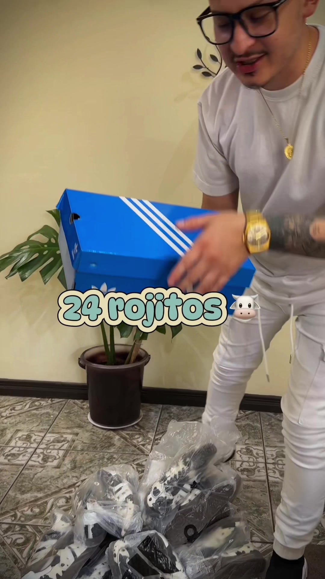 @Dealer Sneakers