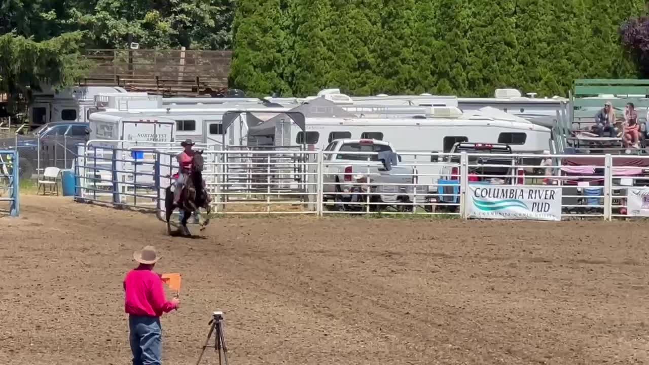 @TF Performance Horses