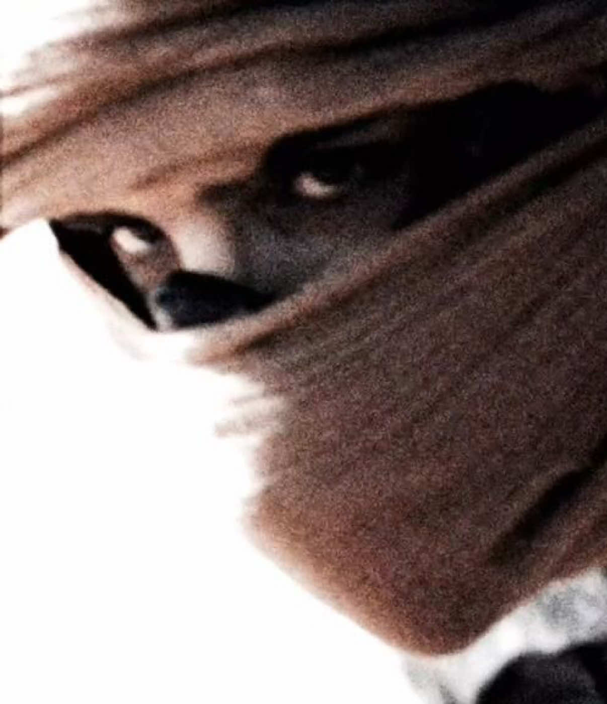 @𝒮𝒞𝒢