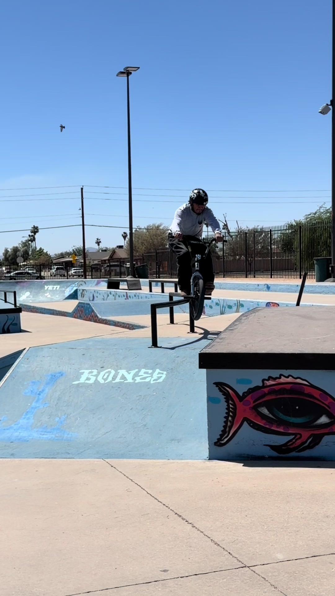 @_bmx_q