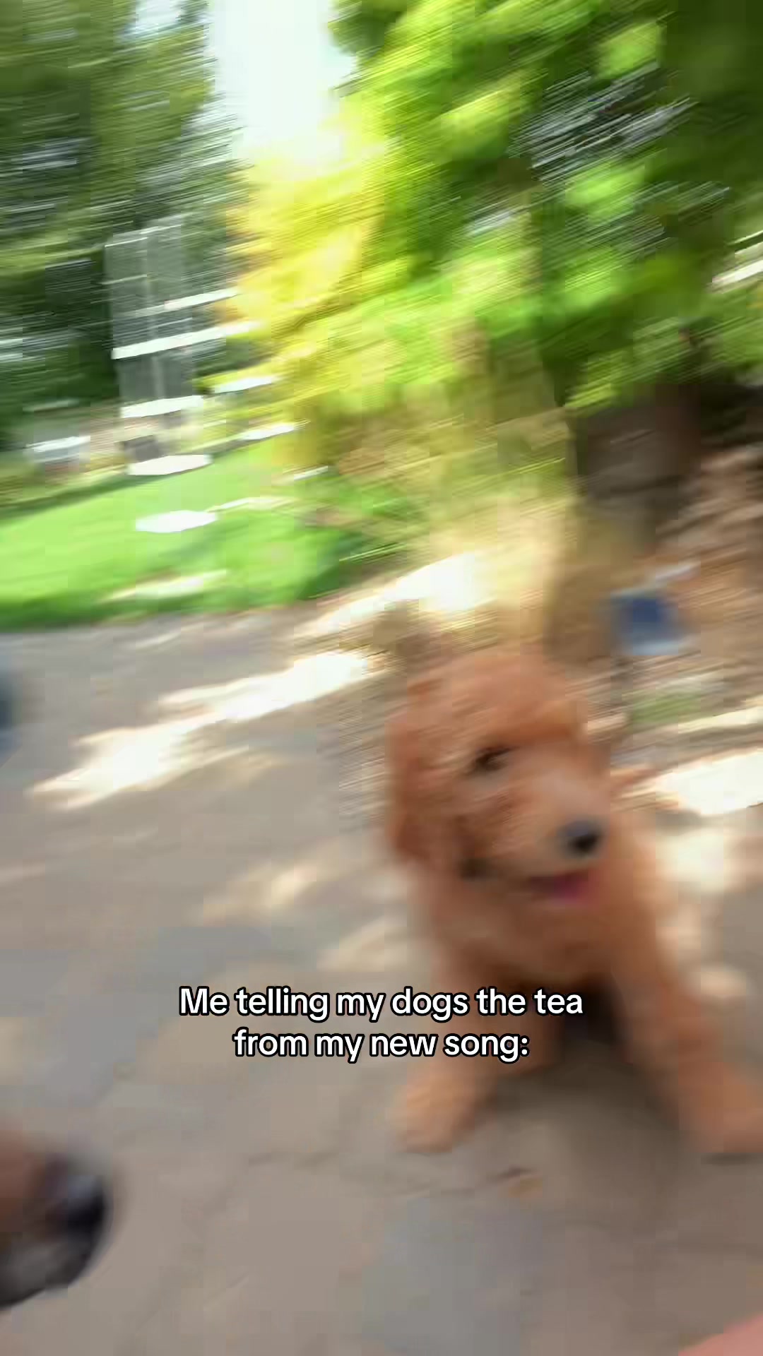 @Laila Noelle