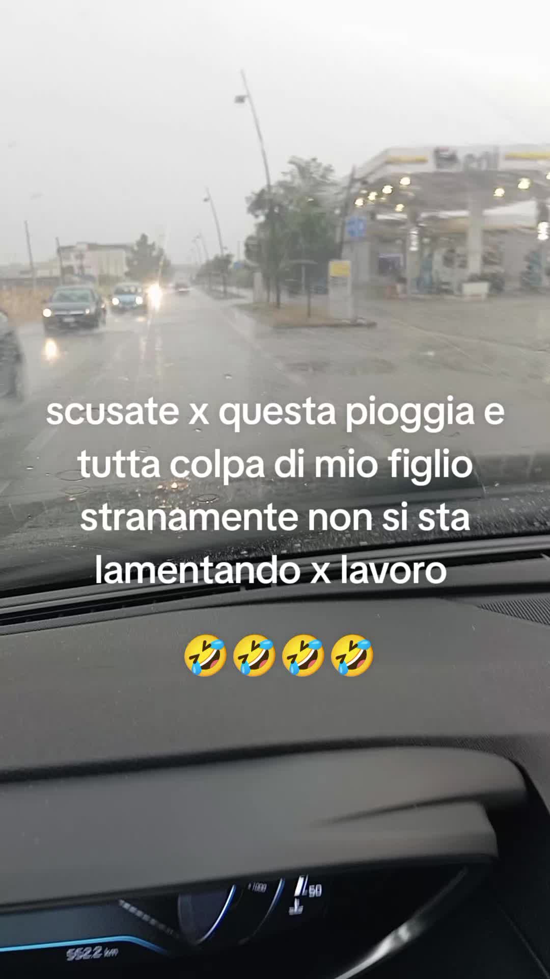 @elviracapone515