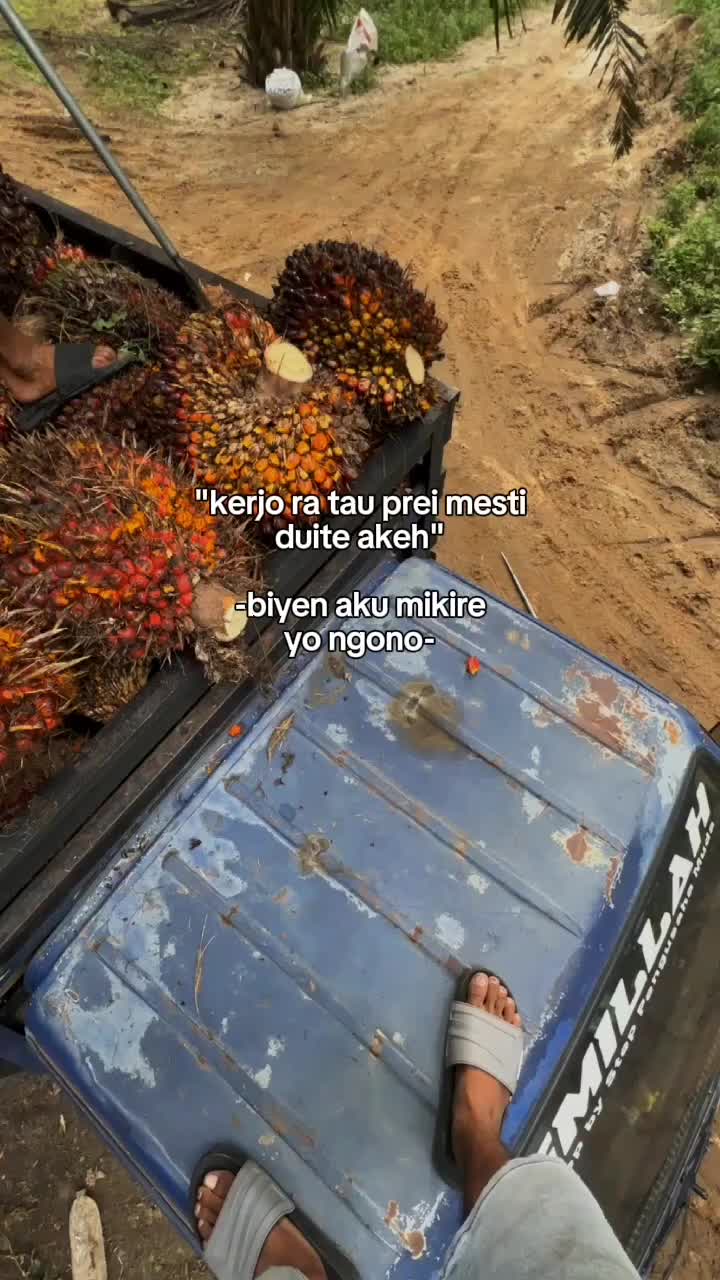 @ᴇᴍᴏɴ ᴊᴀʏᴀ.ɪᴅ