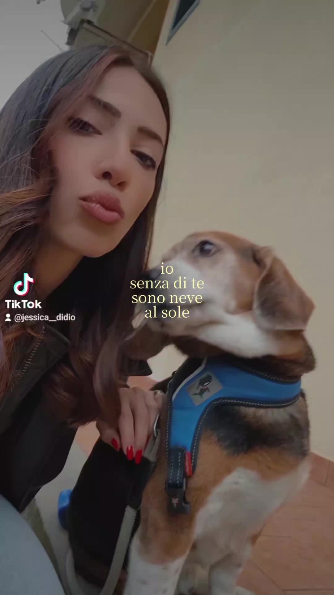 @jessicadidio