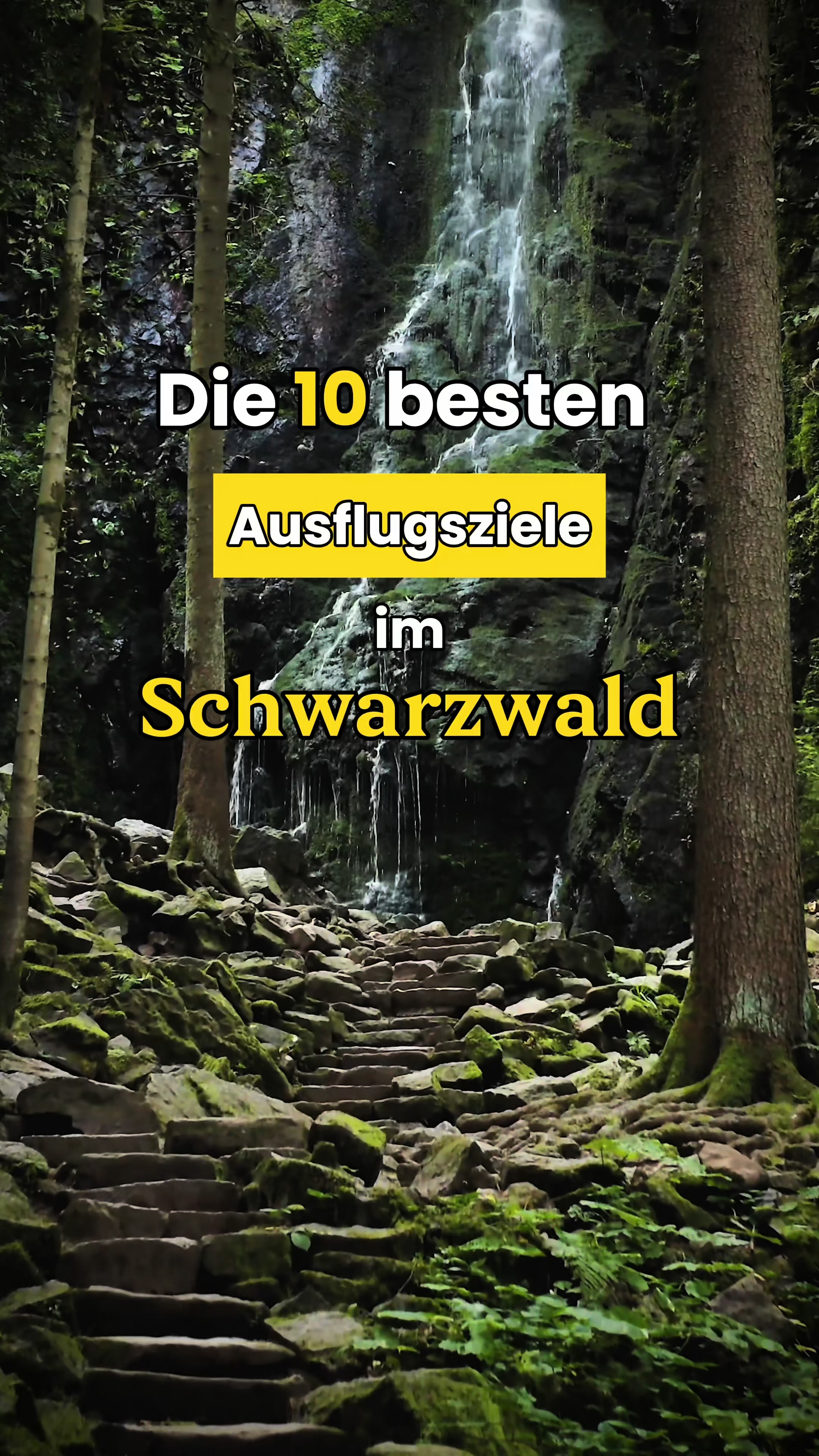 @Schwarzwald Pur