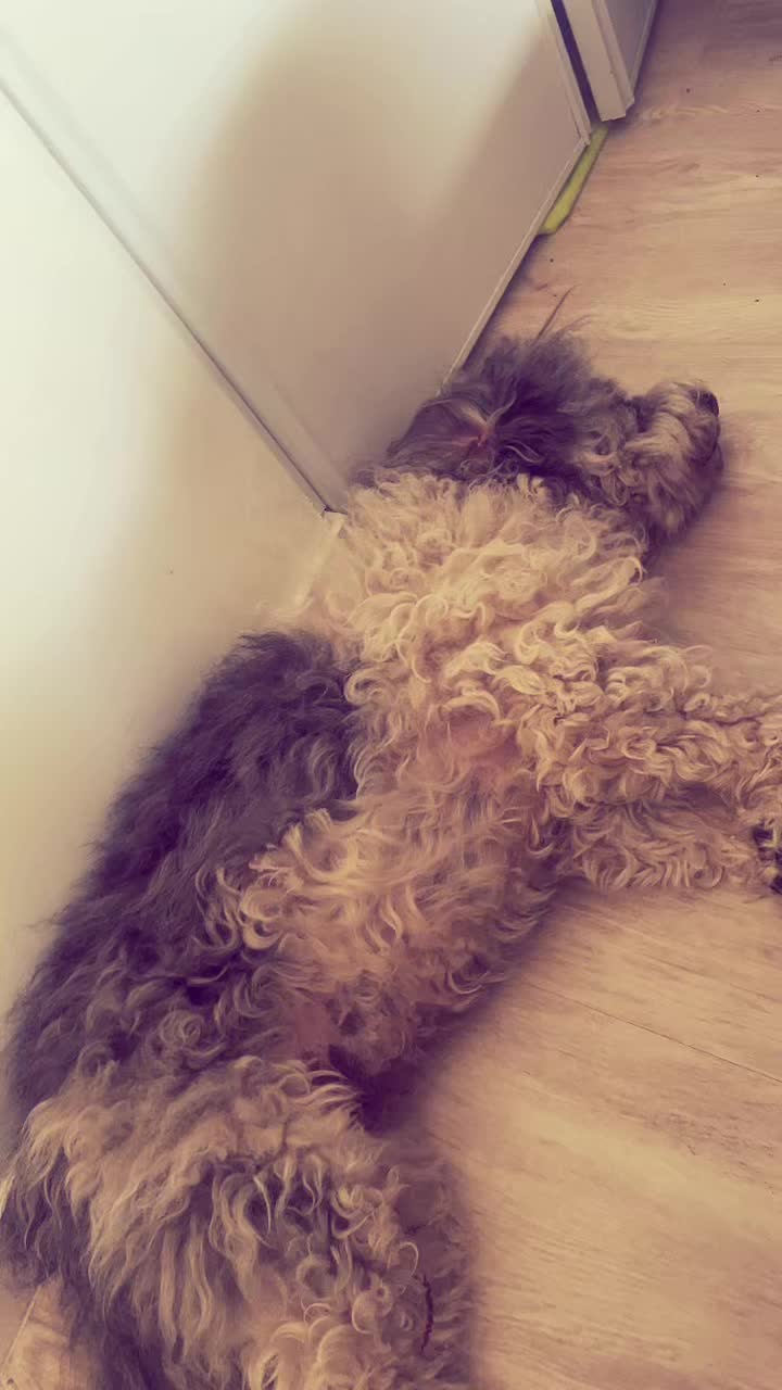 @🧸🎀Miss Lulu 🎀🧸